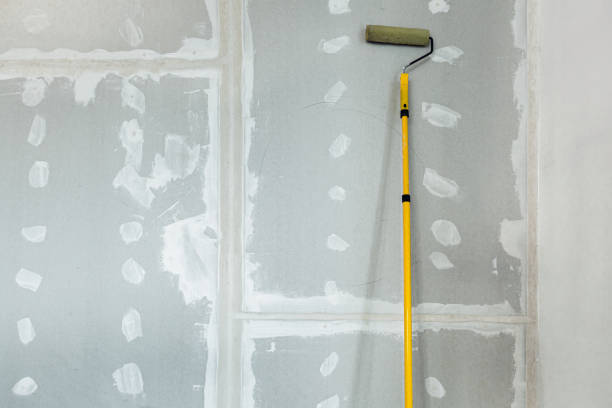 Best Drywall Sanding and Smoothing  in Schertz, TX